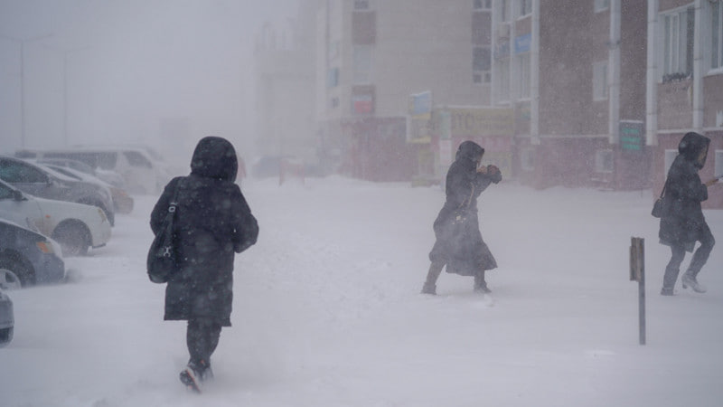 В ряде регионов Казахстана занятия отменили из-за сильной метели.