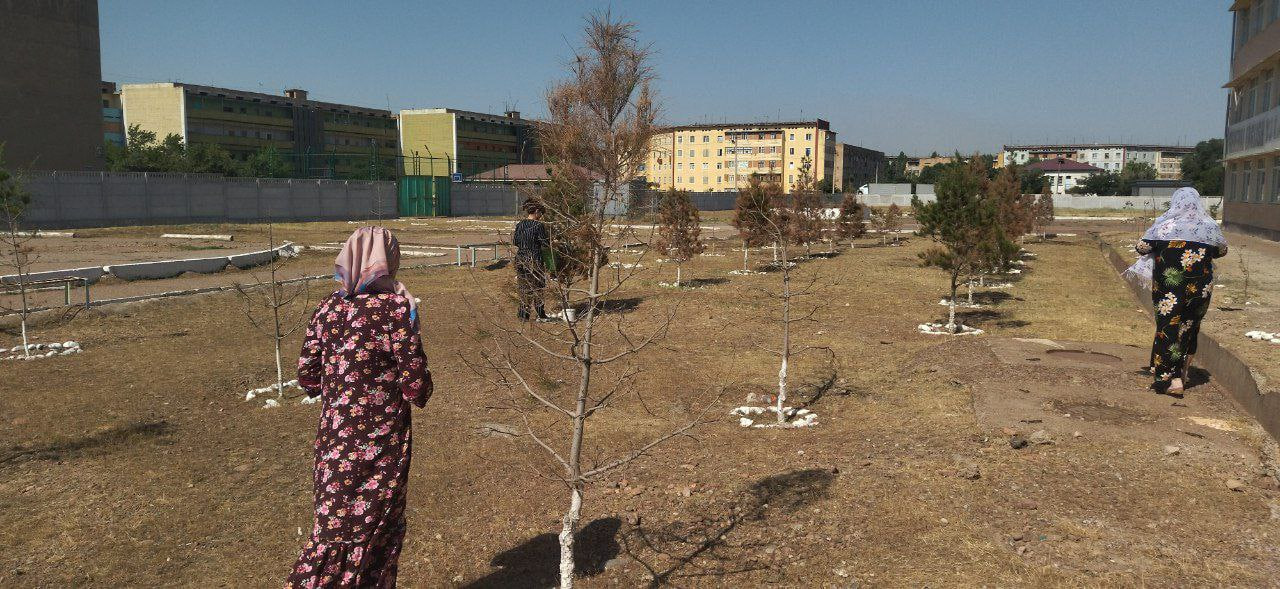 O‘quvchilarni maktab hududini obodonlashtirishga jalb qilgan direktorga 20 mln so‘m jarima solindi